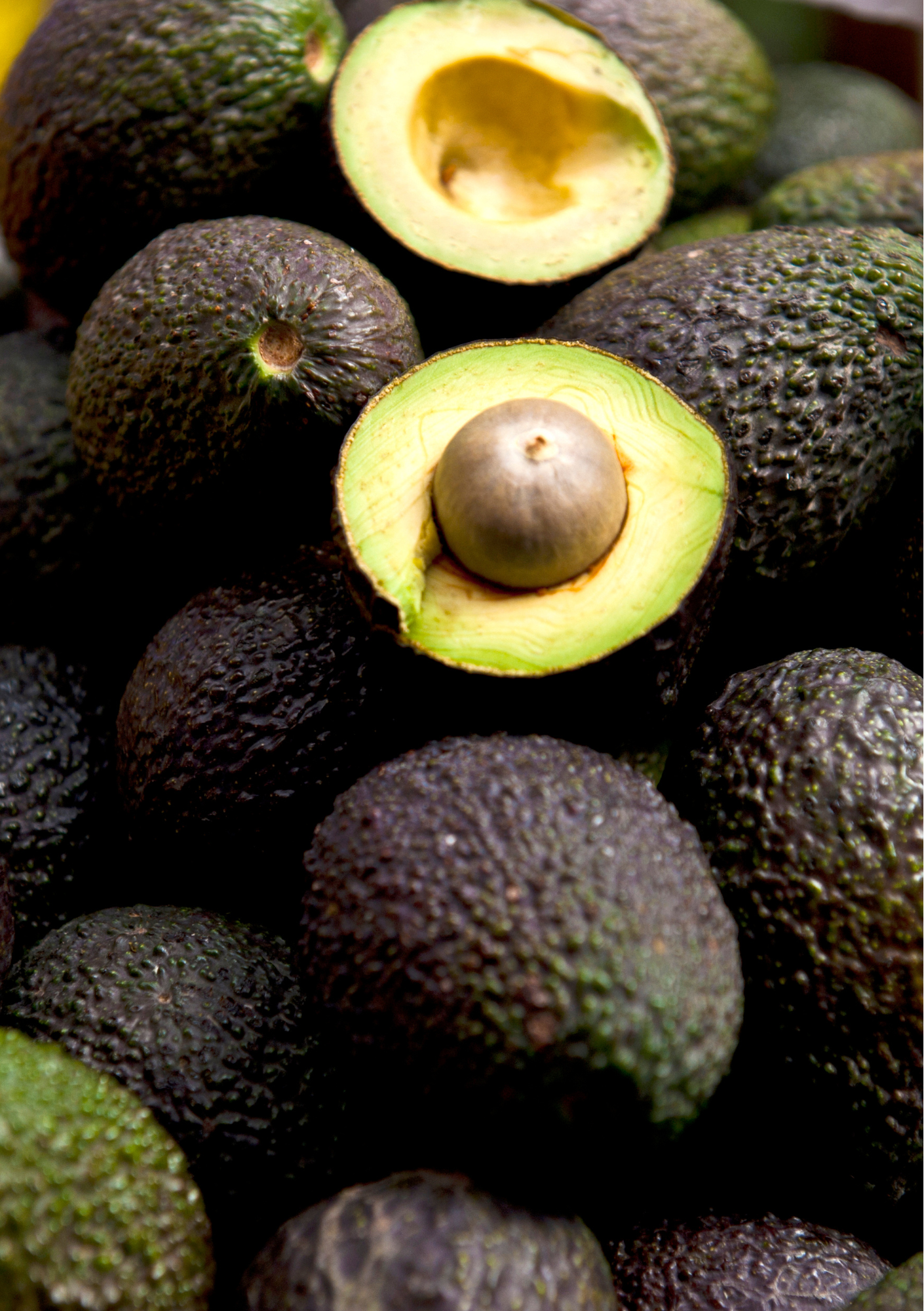 Avocat